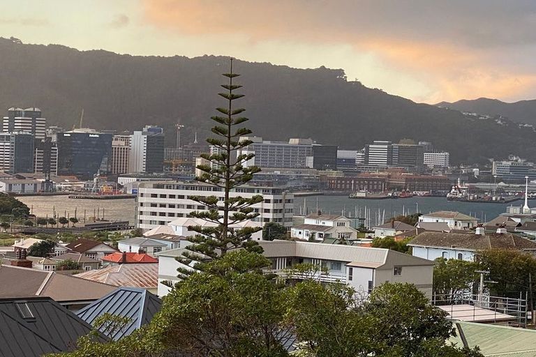 Photo of property in 16 Austin Street, Mount Victoria, Wellington, 6011