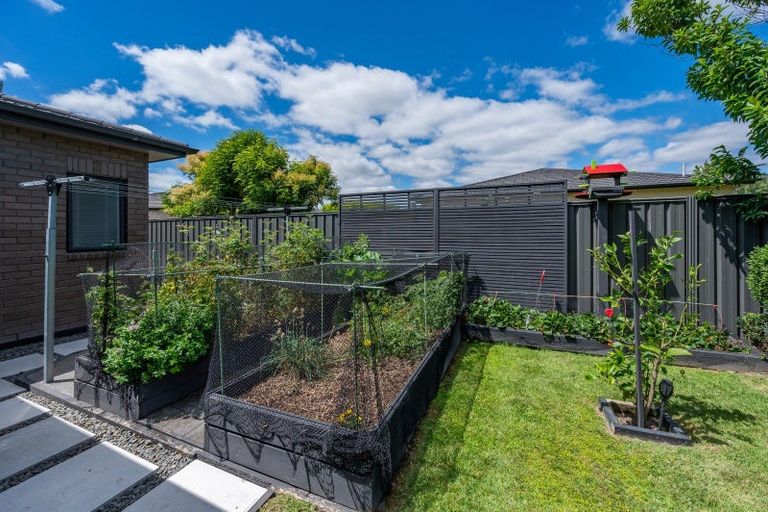 Photo of property in 103 Northwood Avenue, Mahora, Hastings, 4120