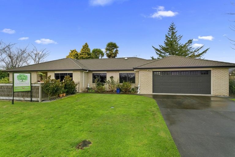 Photo of property in 8 Rowling Place, Leamington, Cambridge, 3432