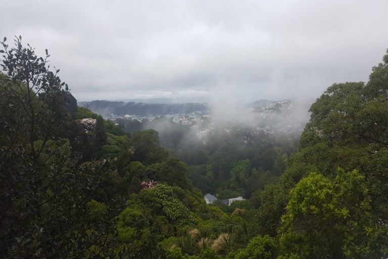 Photo of property in 29a Harbour View Road, Northland, Wellington, 6012