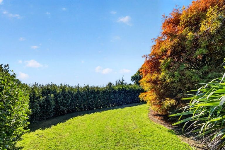 Photo of property in 378e Ara-kotinga, Whitford, Manurewa, 2576