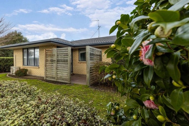 Photo of property in 68b Muller Road, Blenheim, 7201
