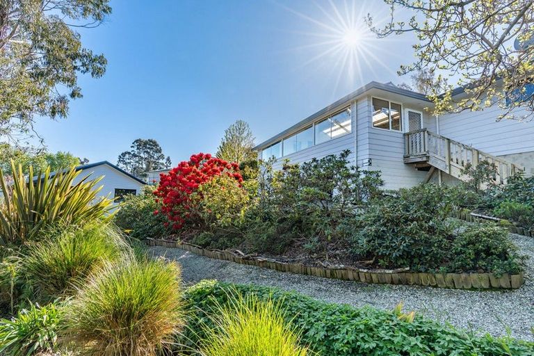 Photo of property in 45a Mcfadden Drive, Mosgiel, 9024