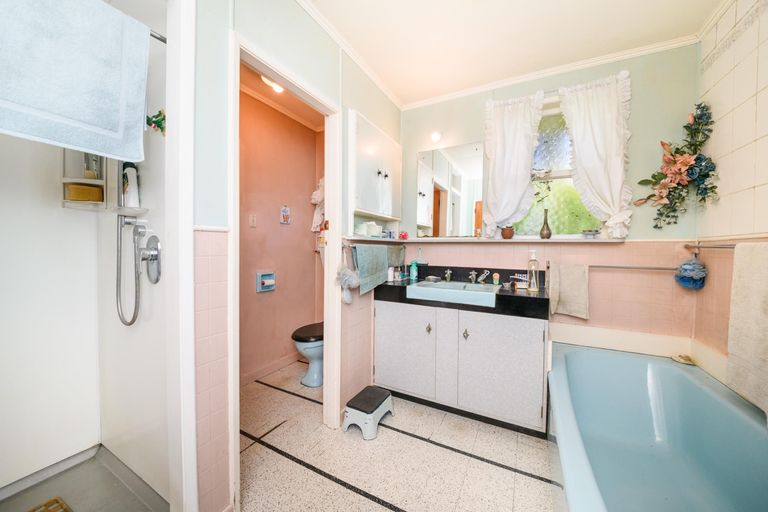 Photo of property in 145a Ruahine Street, Roslyn, Palmerston North, 4414