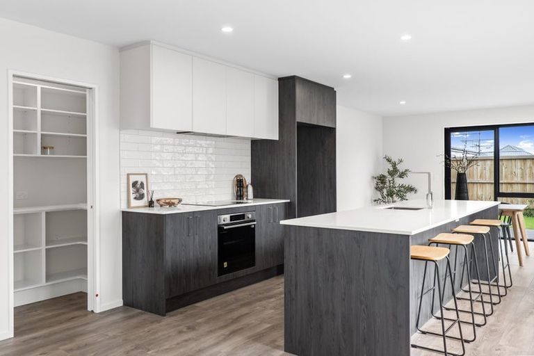 Photo of property in 42 Baratheon Road, Rolleston, 7678