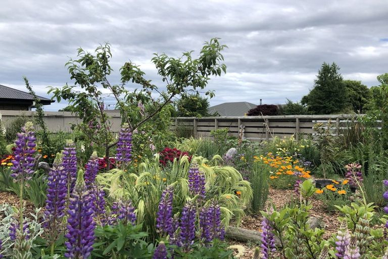 Photo of property in 16 Walshs Road, Allenton, Ashburton, 7700