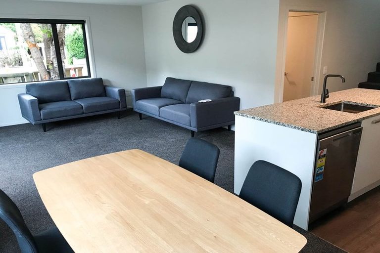 Photo of property in 31a Malvern Street, Woodhaugh, Dunedin, 9010