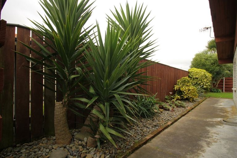 Photo of property in 61a Manawatu Street, Hokowhitu, Palmerston North, 4410