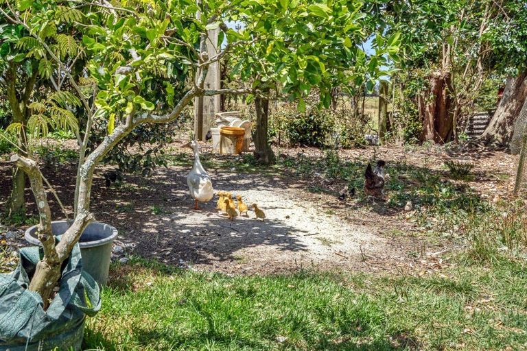 Photo of property in 12 Herald Street, Dobson, Greymouth, 7805