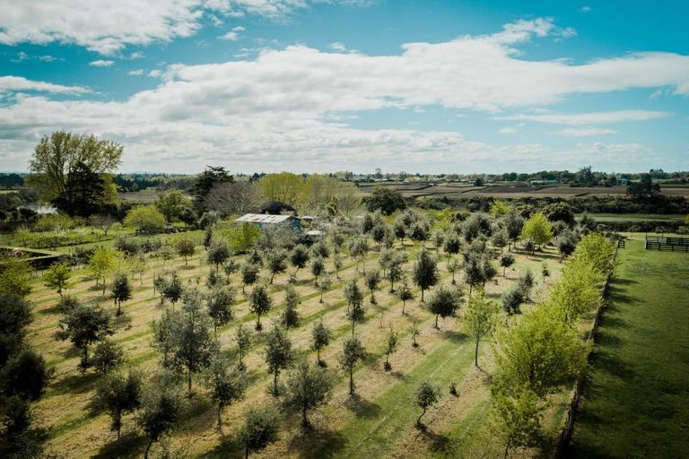 Photo of property in 271 Mystery Creek Road, Ohaupo, 3881