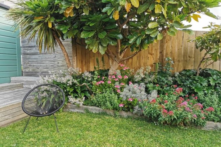 Photo of property in 188 Owen Street, Newtown, Wellington, 6021