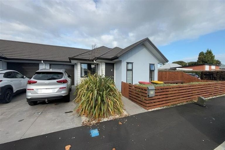 Photo of property in 3 Walker Terrace, Dinsdale, Hamilton, 3204