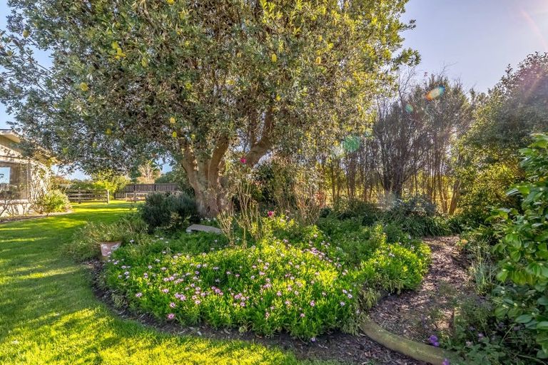 Photo of property in 266 Upper Plain Road, Upper Plain, Masterton, 5888