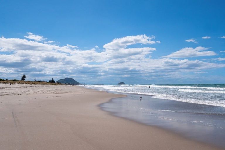 Photo of property in 39 Farm Street, Mount Maunganui, 3116