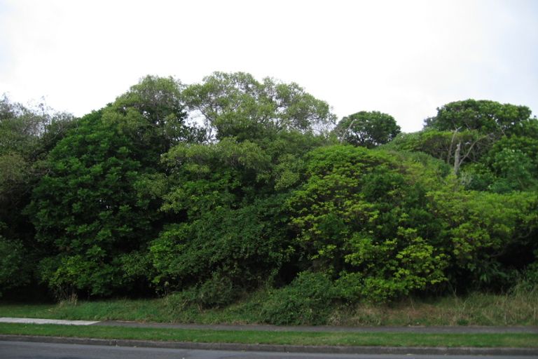 Photo of property in 72 Rimu Street, Waikanae, 5036