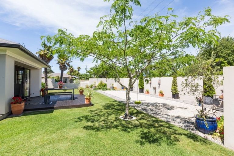 Photo of property in 1 Northwood Avenue, Mahora, Hastings, 4120