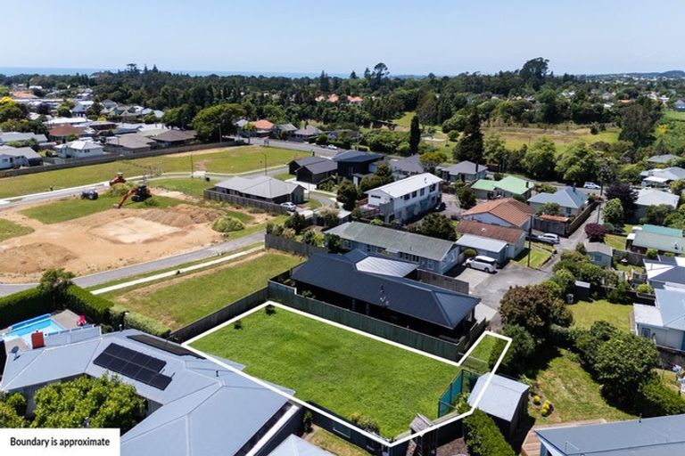 Photo of property in 232d Carrington Street, Vogeltown, New Plymouth, 4310