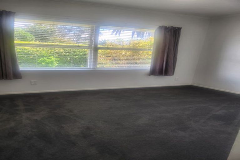 Photo of property in 61 Northboro Road, Belmont, Auckland, 0622