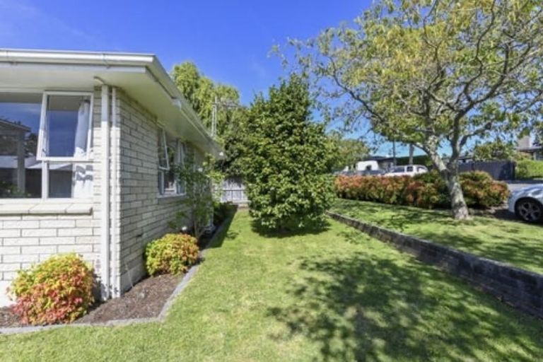 Photo of property in 7 Scannell Street, Havelock North, 4130