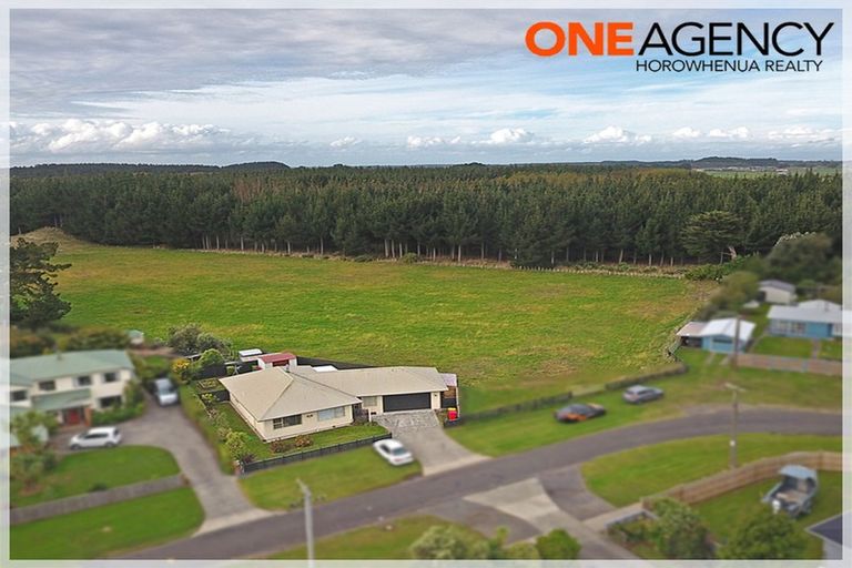 Photo of property in 1a Edinburgh Terrace, Foxton Beach, Foxton, 4815