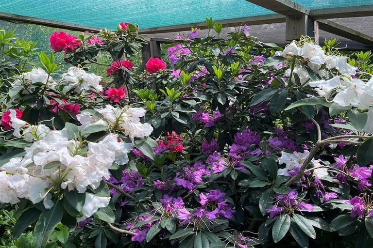 Photo of property in 73 Kahu Way, Hawkesbury, Blenheim, 7272