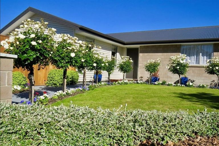 Photo of property in 31 Central Avenue, Prebbleton, 7604