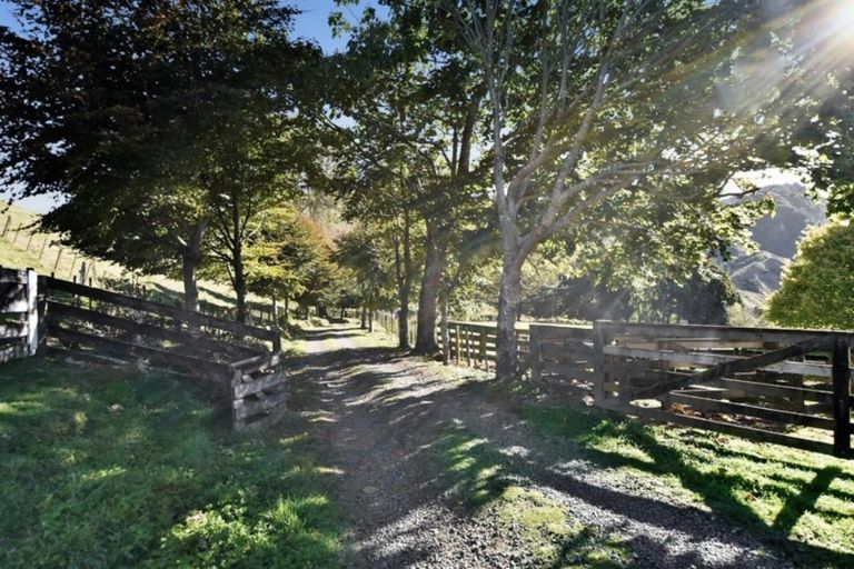 Photo of property in 453 Kururau Road, Taumarunui, 3991