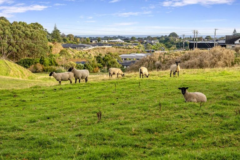 Photo of property in 492 Carrington Road, Hurworth, New Plymouth, 4371