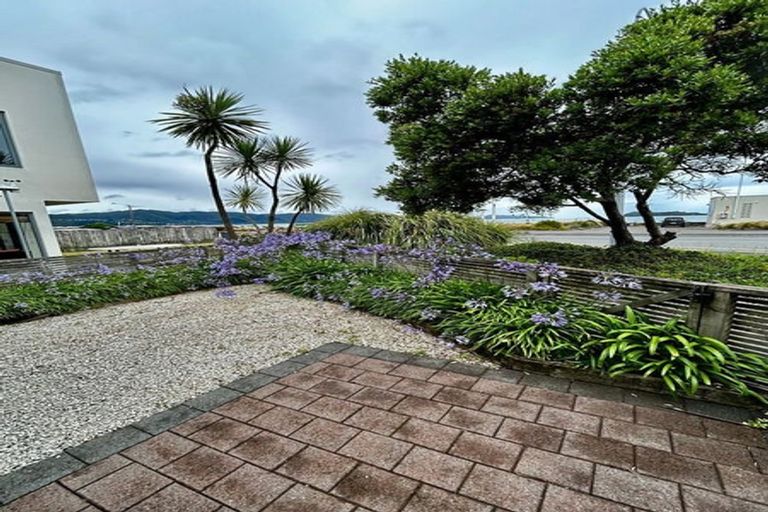 Photo of property in 167 The Esplanade, Petone, Lower Hutt, 5012