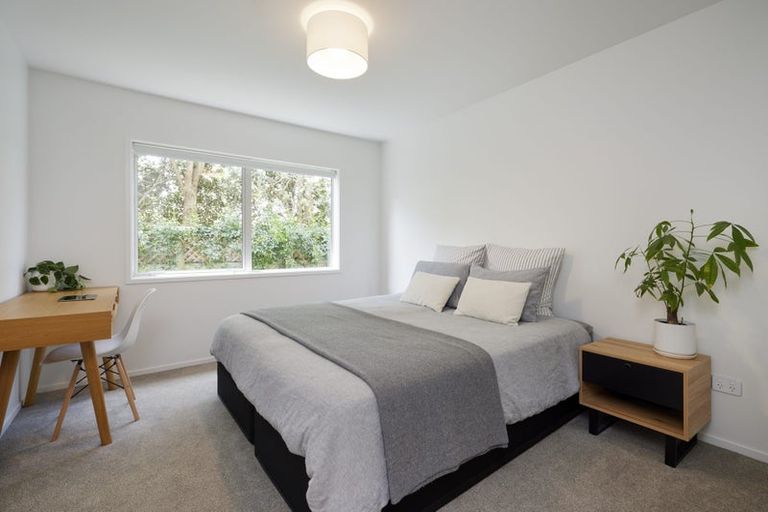 Photo of property in 75b Campbell Road, Mount Maunganui, 3116