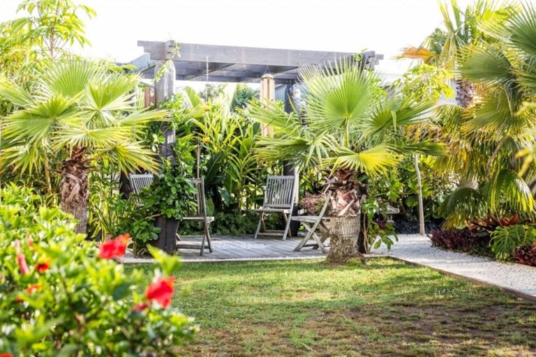 Photo of property in 186 Thelma Road, Mangawhai Heads, Mangawhai, 0505