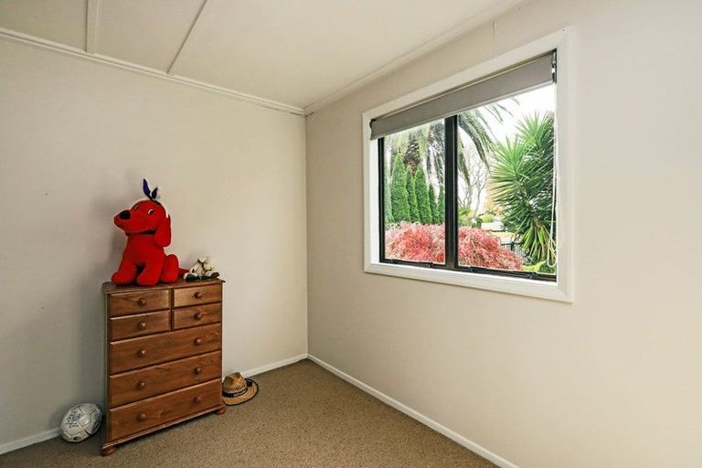 Photo of property in 301 Leo Street, Akina, Hastings, 4122