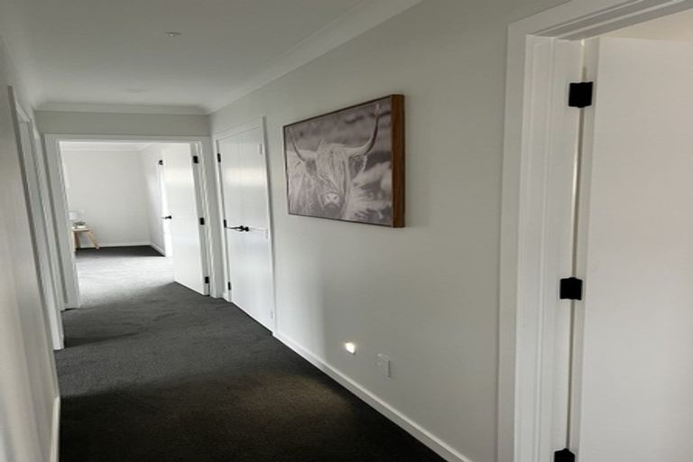 Photo of property in 5a Chelwood Street, Takaro, Palmerston North, 4412