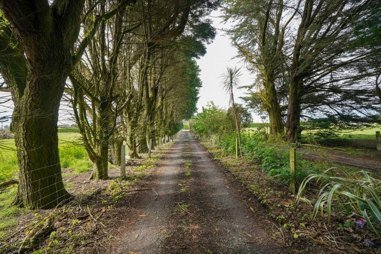 Photo of property in 339 Oteramika Road, Seaward Bush, Invercargill, 9871