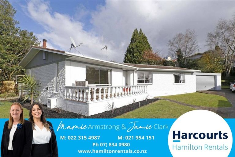 Photo of property in 36 Hazelwood Avenue, Dinsdale, Hamilton, 3204