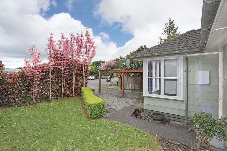 Photo of property in 36 Leicester Street, Terrace End, Palmerston North, 4410