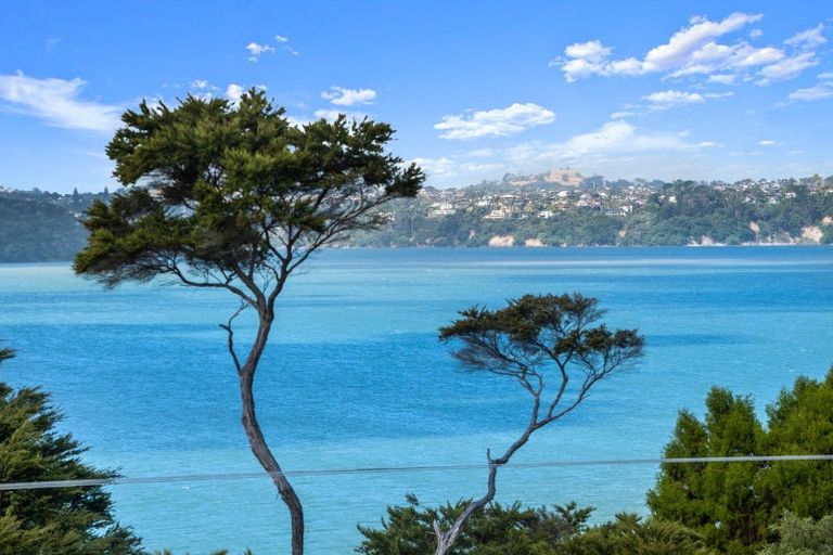 Photo of property in 117 Tanekaha Road, Titirangi, Auckland, 0604