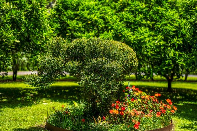 Photo of property in 303 Puketotara Road, Waipapa, Kerikeri, 0295