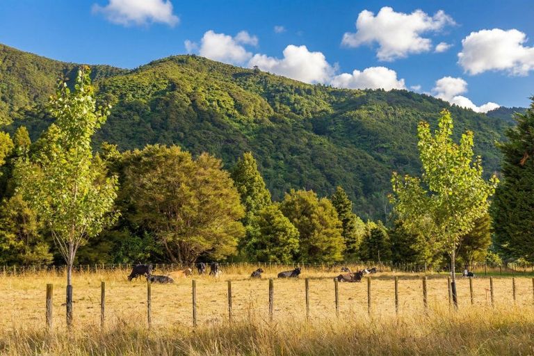 Photo of property in 433a Waiohine Gorge Road, Dalefield, Carterton, 5791