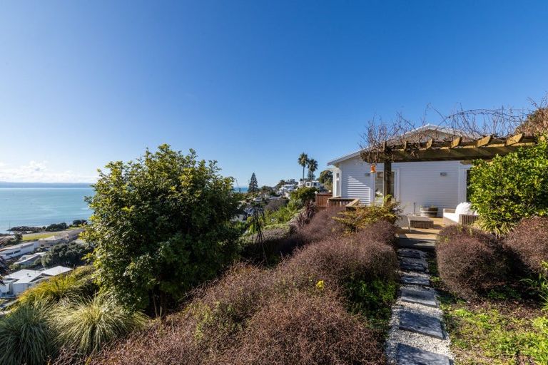 Photo of property in 14 Bay View Road, Bluff Hill, Napier, 4110