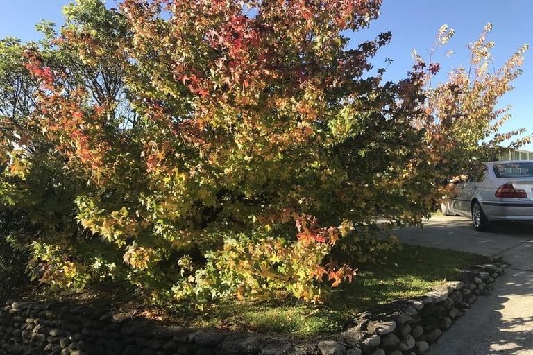 Photo of property in 32 Whitechapel Grove, Stokes Valley, Lower Hutt, 5019