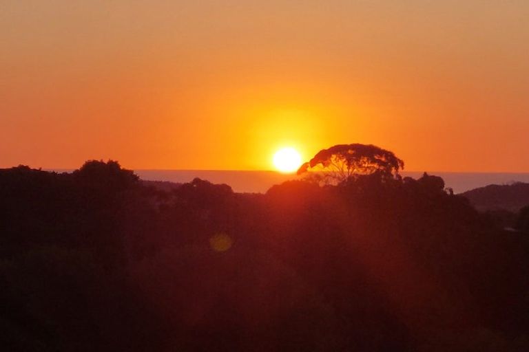 Photo of property in 379 Muriwai Road, Waimauku, 0881