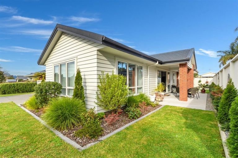 Photo of property in 83a Carmichael Road, Bethlehem, Tauranga, 3110