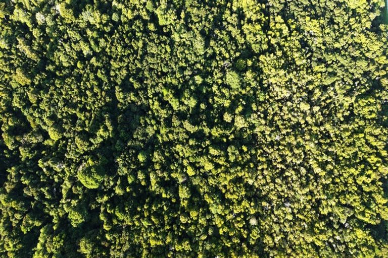 Photo of property in 37 South Terrace Road, Karamea, 7893