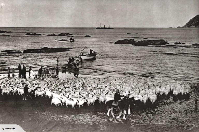 Photo of property in 502 Waipiro Road, Waipiro, Tokomaru Bay, 4079