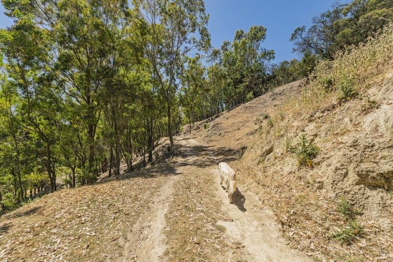 Photo of property in 65 Park Hill Road, Tai Tapu, 7672