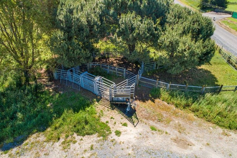 Photo of property in 6 Mahua Road, Feilding, 4777
