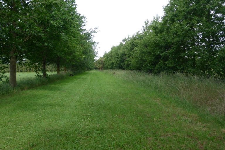 Photo of property in 599 Pesters Road, West Eyreton, 7475