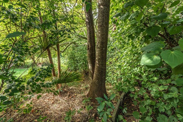 Photo of property in 5b Glandwr Crescent, Whanganui East, Whanganui, 4500