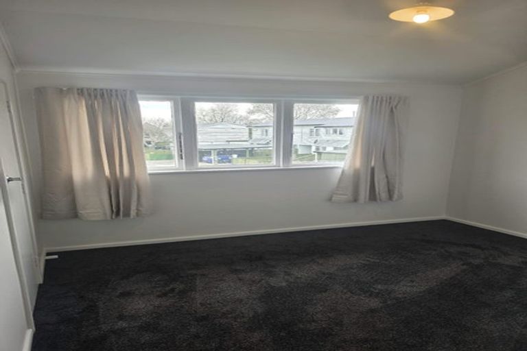 Photo of property in 1001 Manuka Street, Mahora, Hastings, 4120